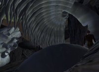 Caverns at The Cliffs of BonnyDoon